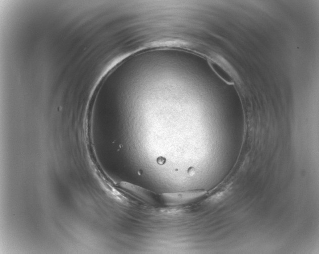 X0000066091044200603101201