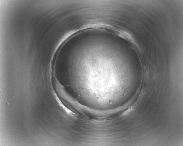 X0000066091046200603101201