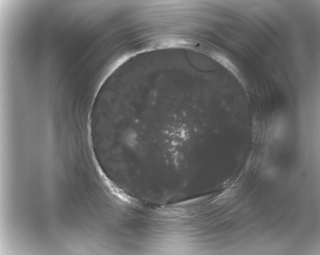 X0000066091047200603101201