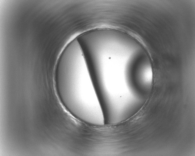 X0000066091048200603101201