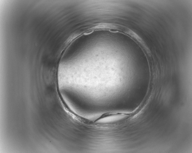 X0000066091049200603101201