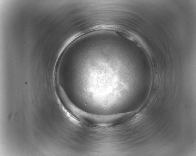 X0000066091050200603101201