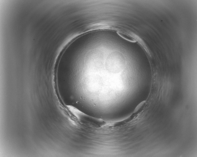 X0000066091051200603101201