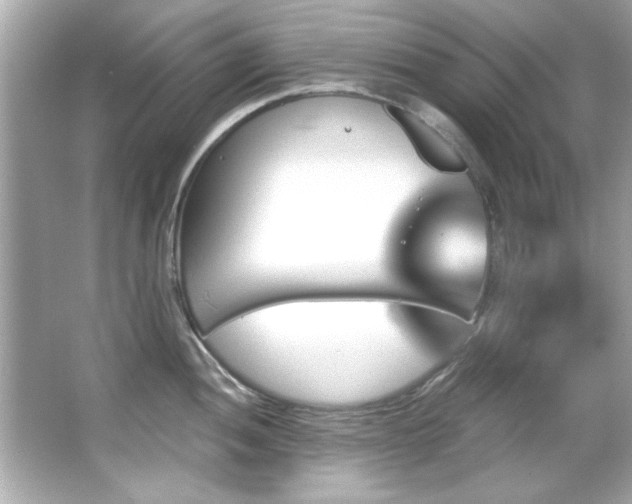 X0000066091052200603101201