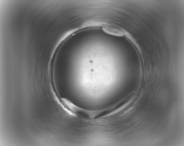 X0000066091053200603101201