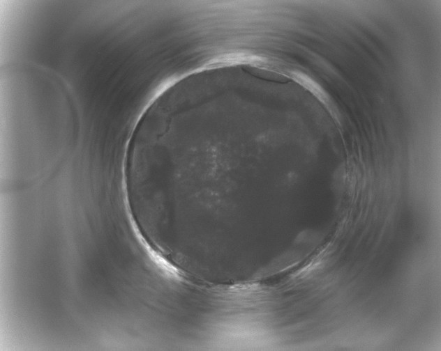 X0000066091055200603101201