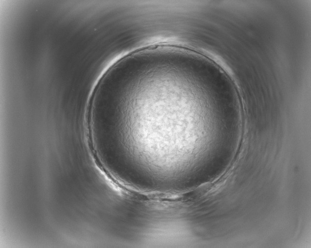 X0000066091056200603101201