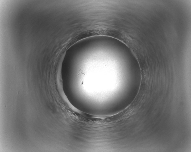 X0000066091057200603101200