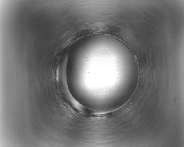 X0000066091058200603101200