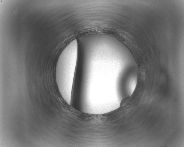 X0000066091060200603101200