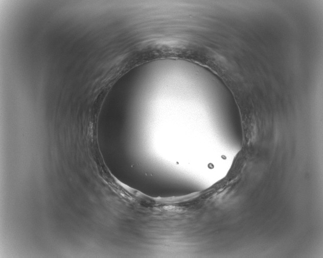 X0000066091061200603101200