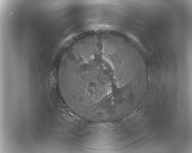 X0000066091063200603101200