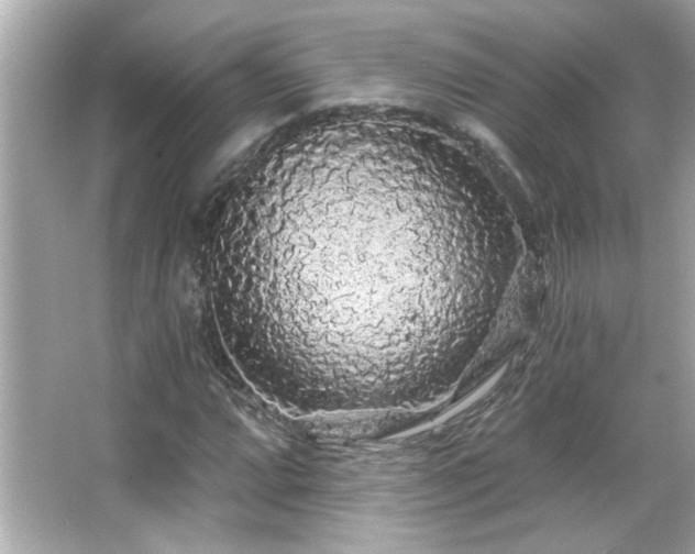 X0000066091064200603101200