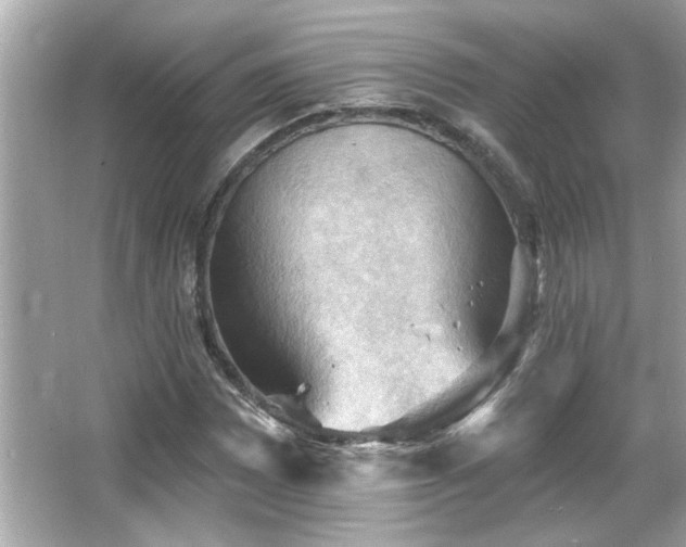 X0000066091065200603101200