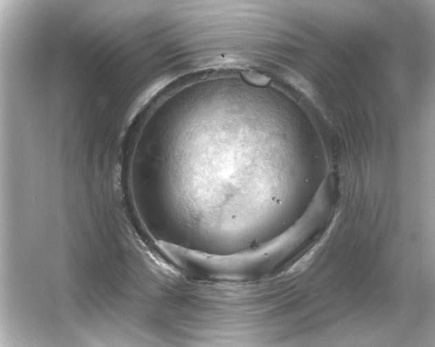 X0000066091066200603101200