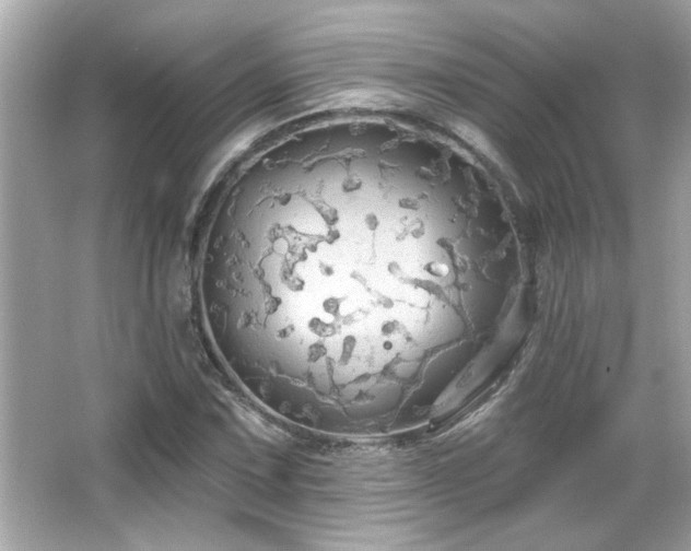 X0000066091067200603101200