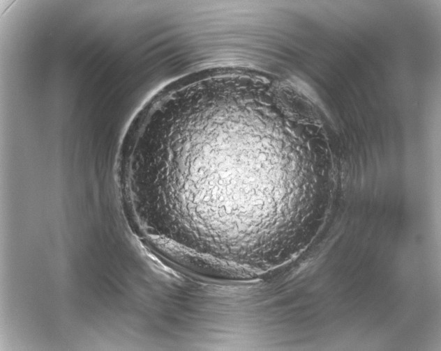 X0000066091068200603101200