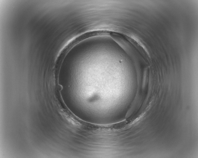 X0000066091069200603101200