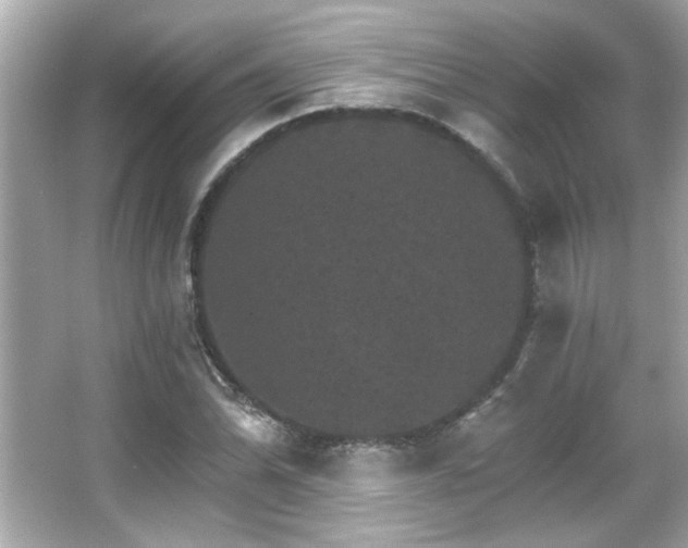 X0000066091070200603101200