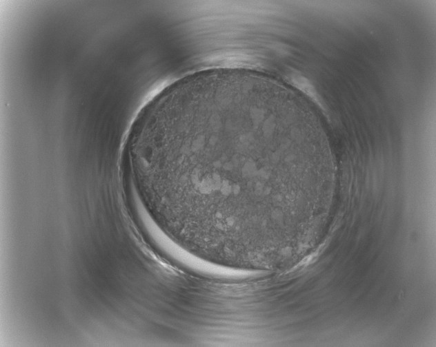 X0000066091071200603101200