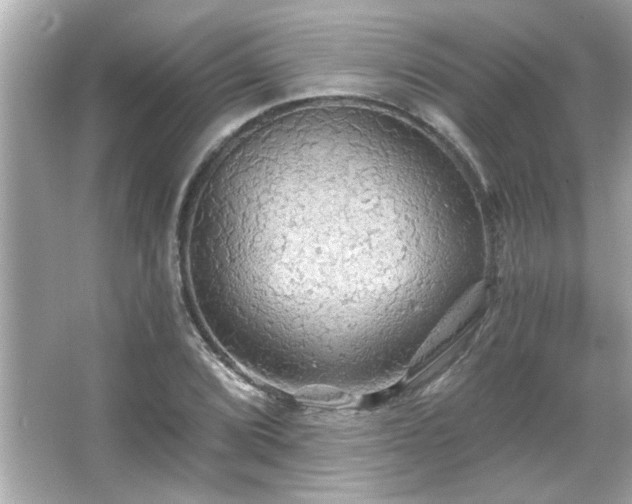 X0000066091072200603101200