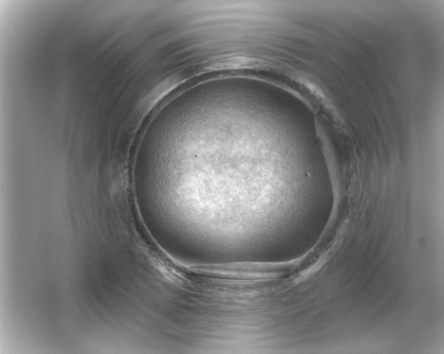 X0000066091073200603101200