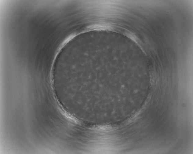 X0000066091074200603101200