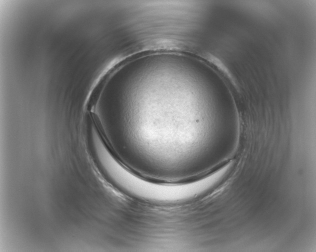 X0000066091075200603101200