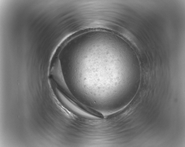 X0000066091076200603101200