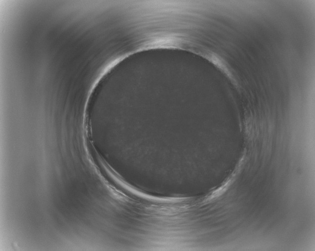 X0000066091077200603101200