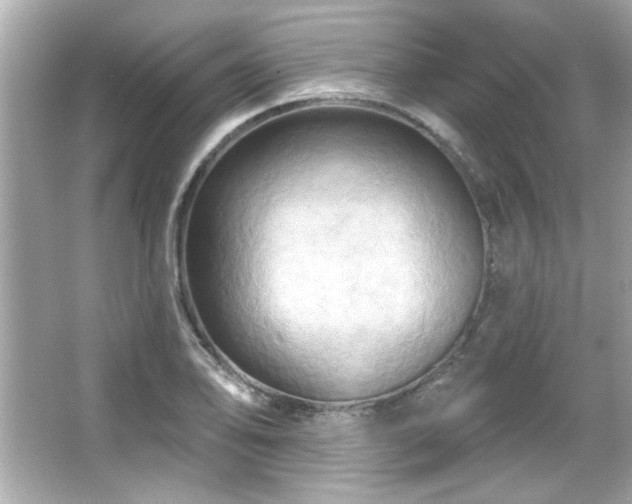 X0000066091078200603101200