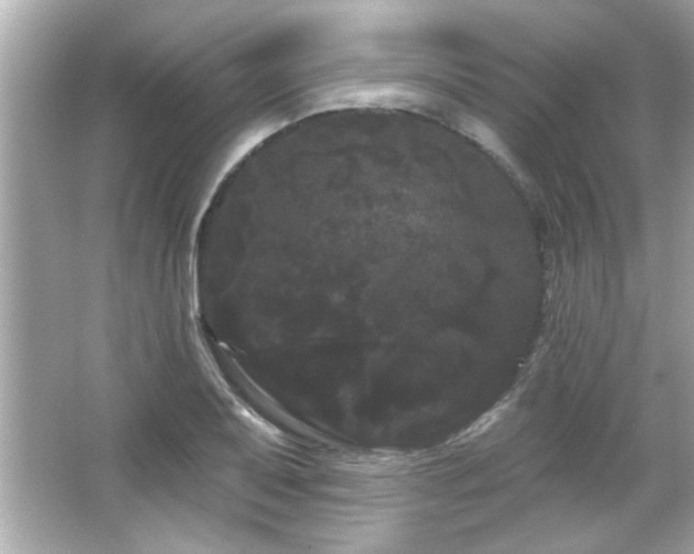 X0000066091079200603101200