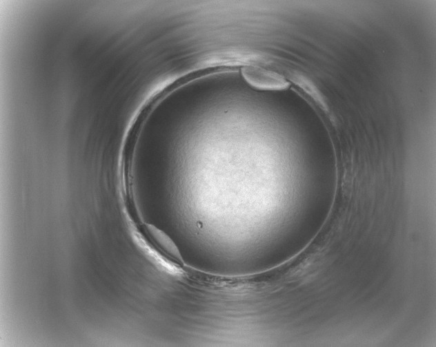 X0000066091080200603101200