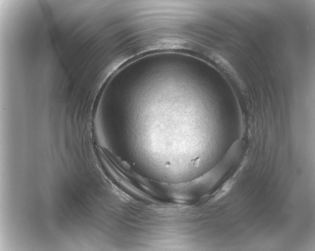 X0000066091081200603101200