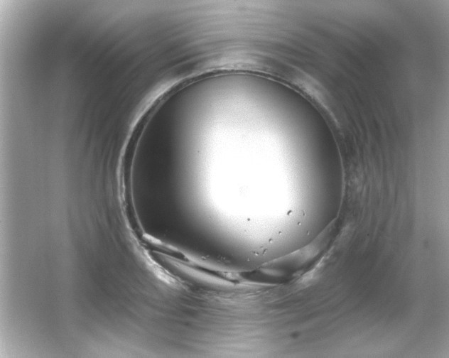 X0000066091082200603101200