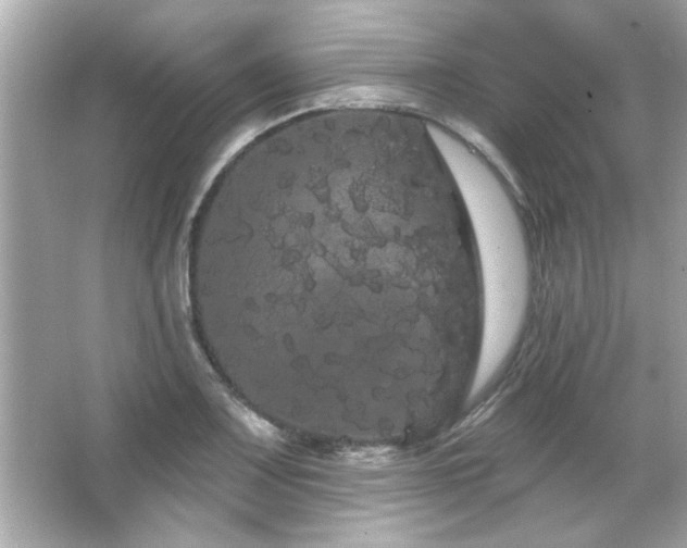 X0000066091083200603101200