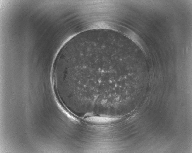 X0000066091084200603101200