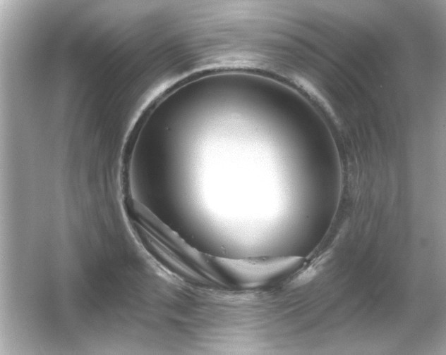 X0000066091085200603101200