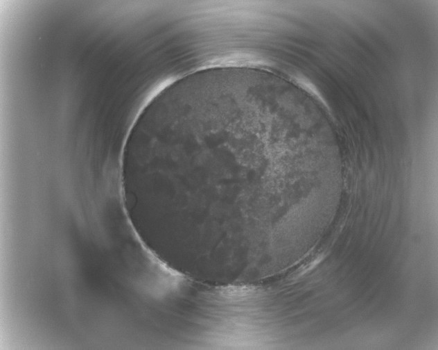 X0000066091087200603101200