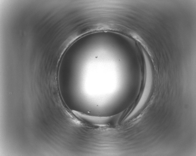 X0000066091089200603101200