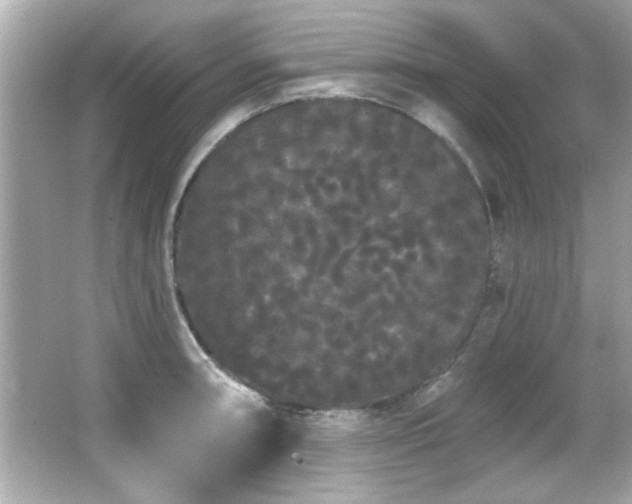 X0000066091090200603101200