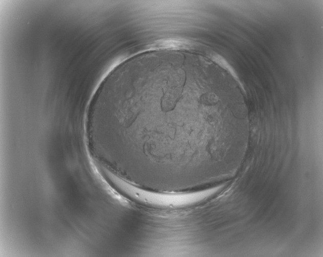 X0000066091091200603101200