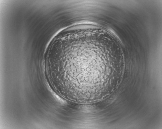 X0000066091092200603101200