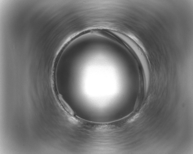 X0000066091093200603101200