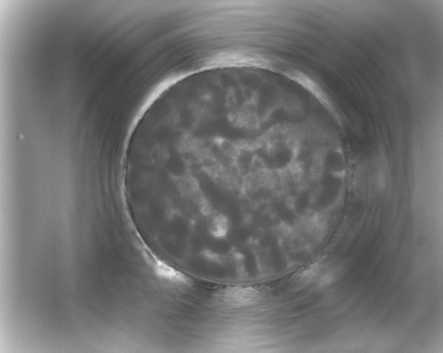 X0000066091094200603101200