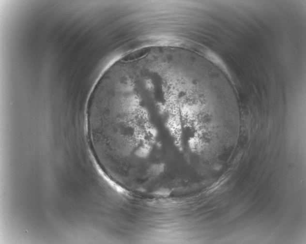 X0000066091095200603101200