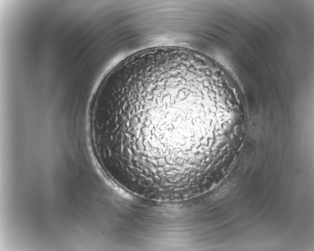 X0000066091096200603101200