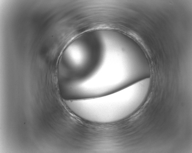 X0000066091097200603101200