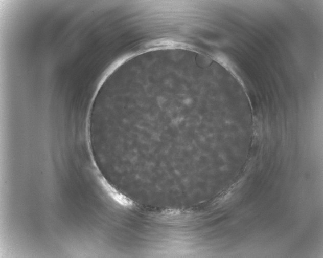 X0000066091098200603101159