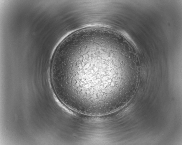 X0000066091100200603101159